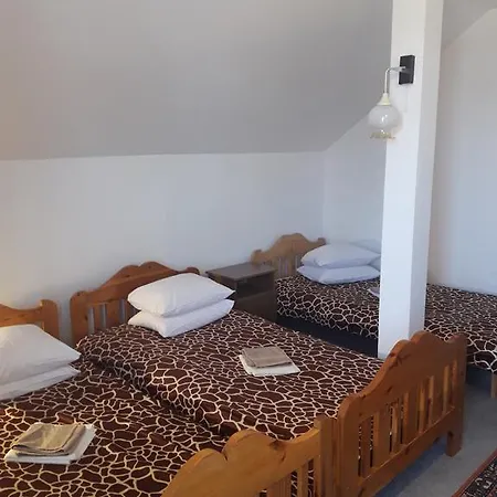 Yellow House 佐洛卡罗斯