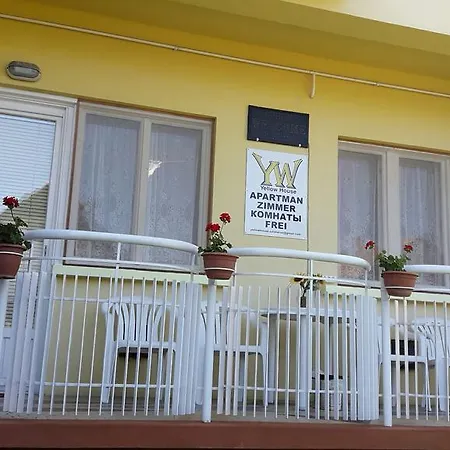 Yellow House 佐洛卡罗斯